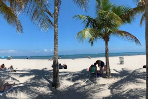 Miami: Explore Magic City in Style – 2-Hour VIP Tour