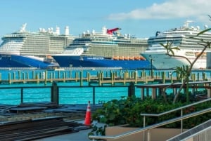 Miami: Utforsk Magic City med stil – 2-timers VIP-tur ☀️