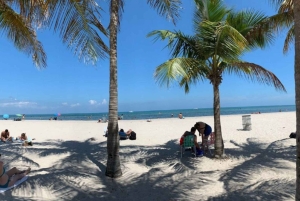 Miami: Utforsk Magic City med stil – 2-timers VIP-tur ☀️