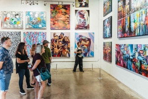 Miami: Visita guiada às galerias e murais de Wynwood Walls