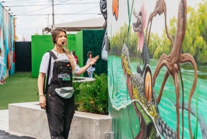 Miami : Visite guidée des galeries et peintures murales de Wynwood Walls