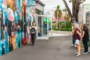 Miami: Wynwood Walls gallerier og veggmalerier - omvisning