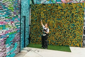 Miami: Wynwood Walls gallerier og veggmalerier - omvisning