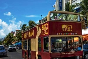 Miami: film- og TV-tur med inngang til Vizcaya-museet