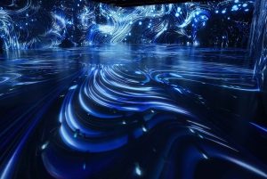 Miami, FL: Nikola Tesla Immersive Experience