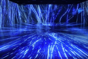 Miami, FL: Nikola Tesla Immersive Experience