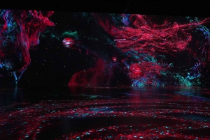 Miami, FL: Nikola Tesla Immersive Experience