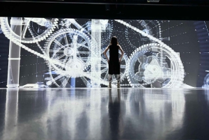 Miami, FL: Nikola Tesla Immersive Experience