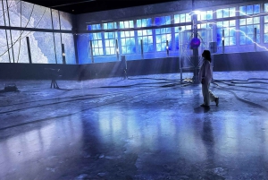 Miami, FL: Nikola Tesla Immersive Experience