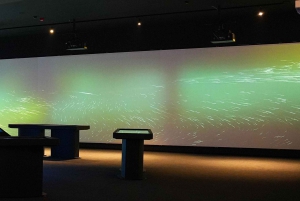 Miami, FL: Nikola Tesla Immersive Experience