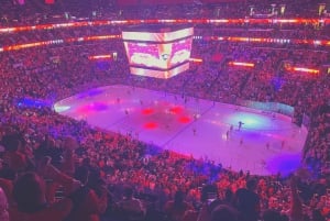 Miami Entradas para el partido de hockey sobre hielo de los Florida Panthers