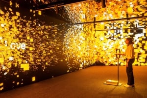 Miami: biglietto d'ingresso al Museo Nazionale della Freedom Tower