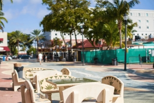 Miami From Fort Lauderdale Premium Driving Tour with Cruise