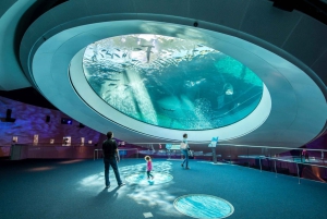 Miami: Frost Science Museum and Planetarium Admission Ticket
