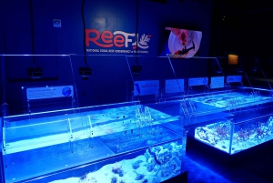 Miami: Frost Science Museum and Planetarium Admission Ticket
