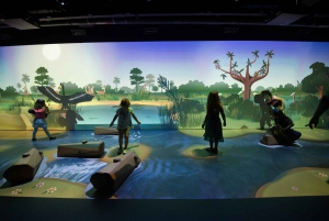Miami: Frost Science Museum and Planetarium Admission Ticket