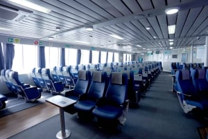 Miami/Ft Lauderdale: Viagem de 1 dia de balsa para Bimini ou Grand Bahama