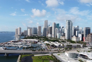 Excursion d'une journée à Miami avec chauffeur quotidien