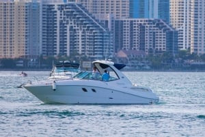 Miami: Zabawa i przystępna cena FREE JET SKI (toaleta, klimatyzacja, kuchnia)