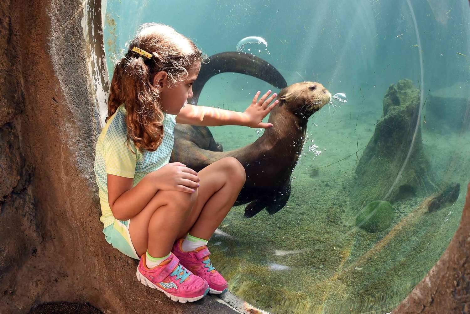 Miami: Pase turístico todo incluido con más de 30 atracciones