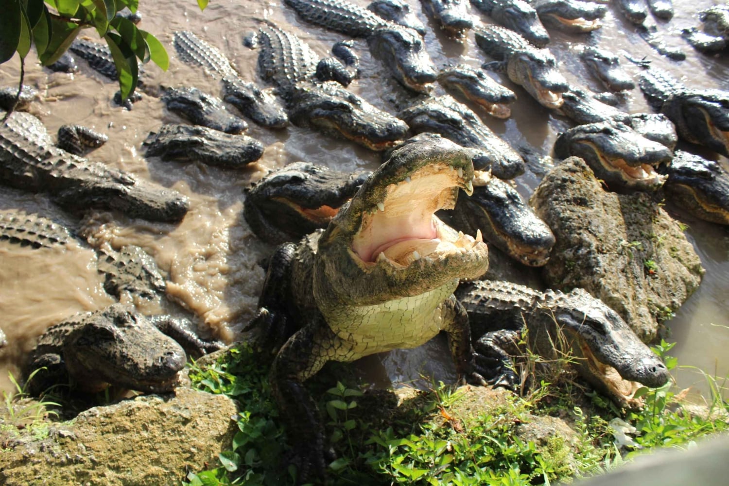 Miami: Pase turístico todo incluido con más de 30 atracciones