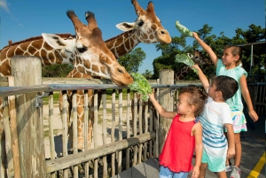 Miami: Pase turístico todo incluido con más de 30 atracciones