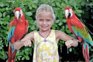 Miami: Pase turístico todo incluido con más de 30 atracciones