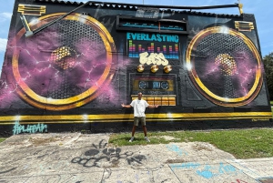 Miami: Graffiti- og gatekunsttur i Wynwood