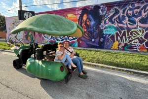 Miami: Graffiti- og gatekunsttur i Wynwood