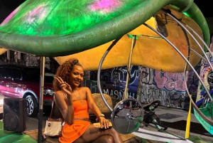 Miami: Graffiti- og gatekunsttur i Wynwood