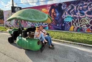 Miami: Graffiti & Street Art Tour in Wynwood