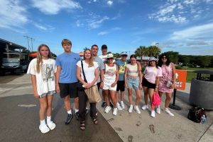 Miami: Graffiti & Street Art Tour in Wynwood