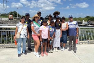 Miami: Graffiti & Street Art Tour in Wynwood