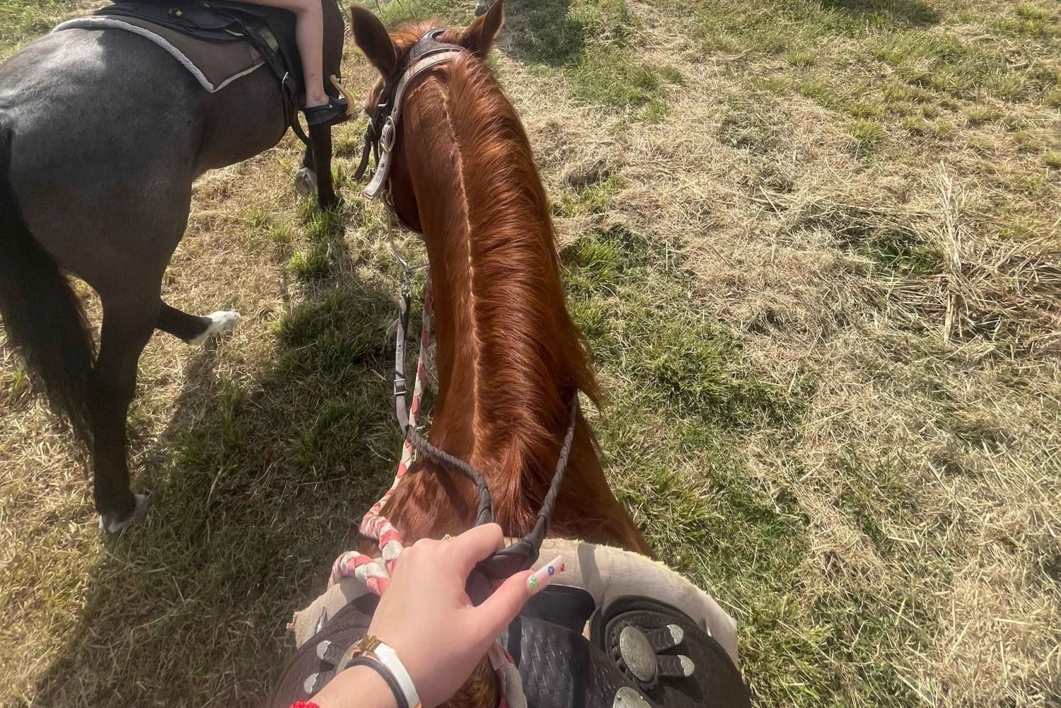 Miami: Excursión guiada a caballo
