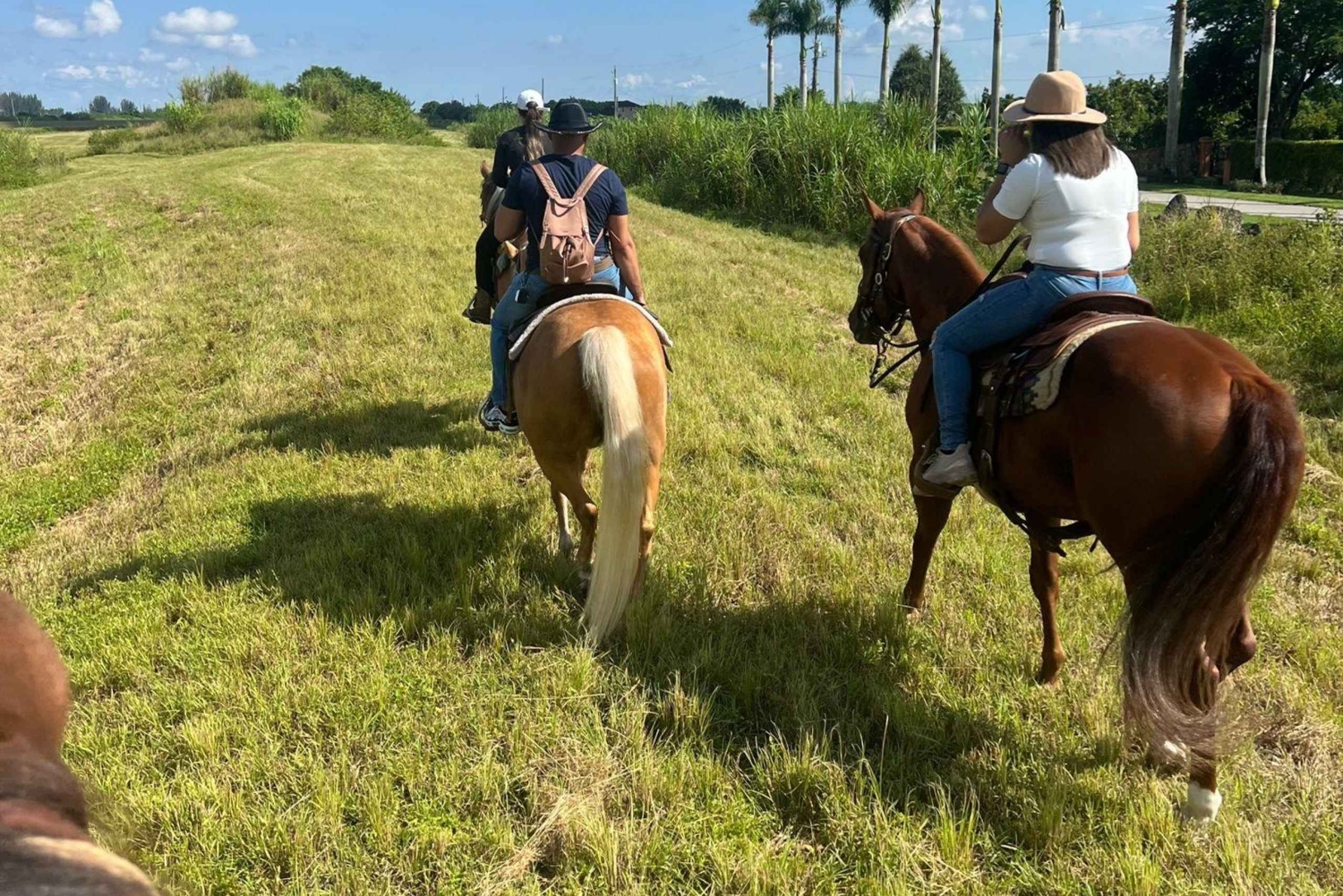 Miami: Excursión guiada a caballo
