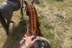 Miami: Excursión guiada a caballo