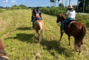 Miami: Excursión guiada a caballo