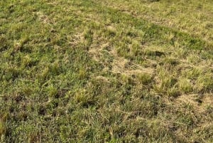 Miami: Excursión guiada a caballo