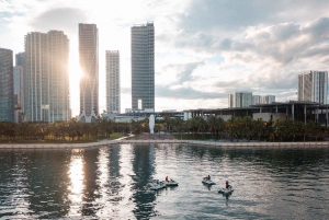 Miami : Visite guidée en jet ski