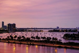 Miami: Guided Night Tour with Skyviews Wheel Ride