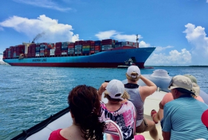 Miami: Guidet tur med en lille gruppe bådtur + ikoniske Stiltsville