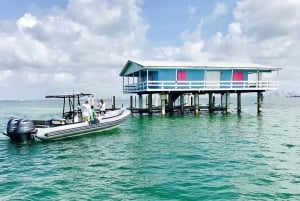 Miami: Tour en barco guiado en grupo reducido + Iconic Stiltsville