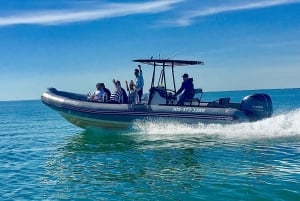 Miami: Tour en barco guiado en grupo reducido + Iconic Stiltsville