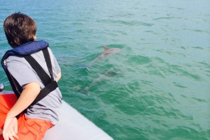 Miami: Tour en barco guiado en grupo reducido + Iconic Stiltsville