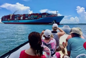 Miami: Tour en barco guiado en grupo reducido + Iconic Stiltsville