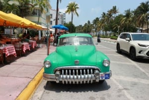 Miami : visite guidée à pied avec transports publics