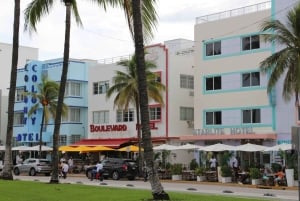 Miami: excursão a pé guiada com transporte público