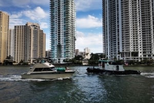 Miami: excursão a pé guiada com transporte público