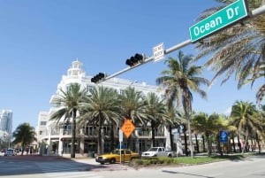 Miami: tour de medio día y crucero