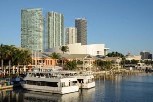 Miami: Half-Day City and Boat Tour
